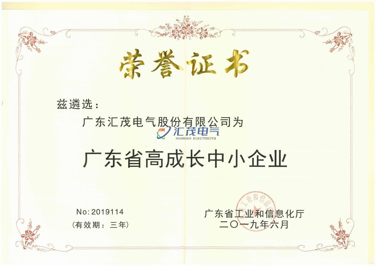 Guangdong High-Growth SME