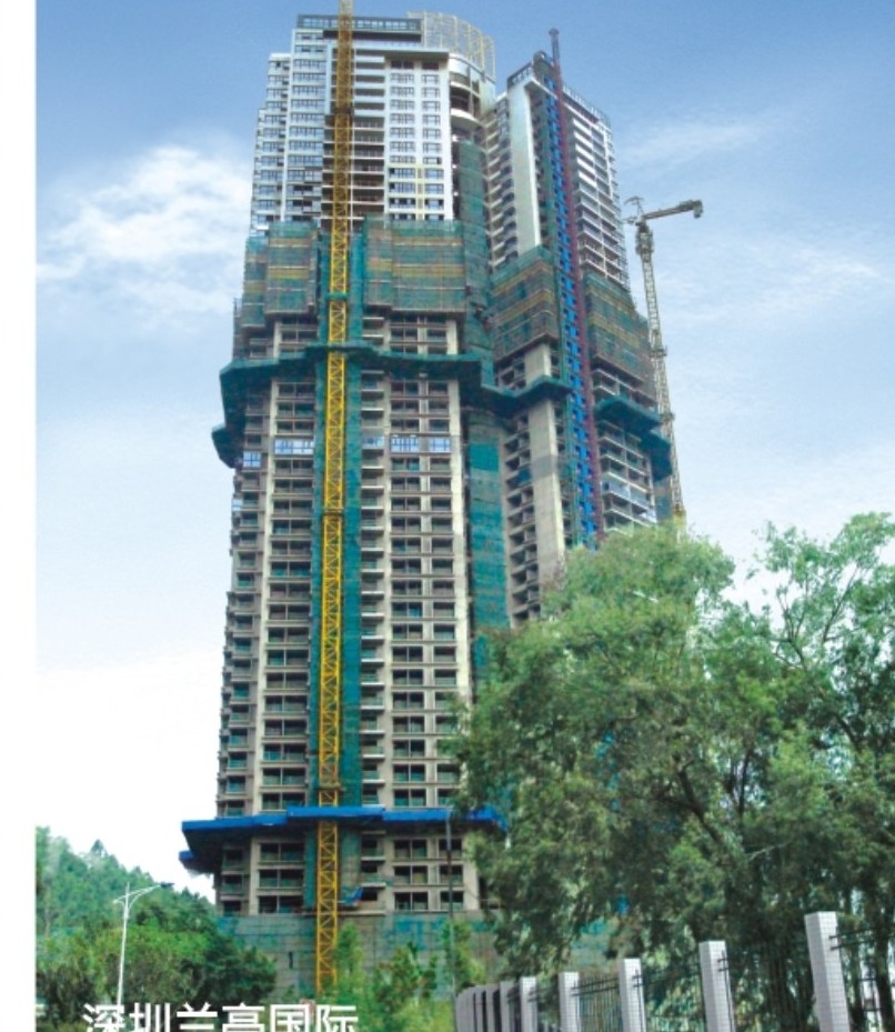 Shenzhen Lanting International